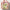 Ecotools Brochas Ecotools On-The-Go Style Makeup Brush Kit 1613